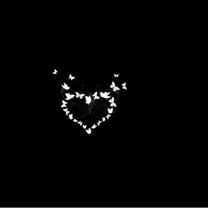 Meet your Posher, Cori